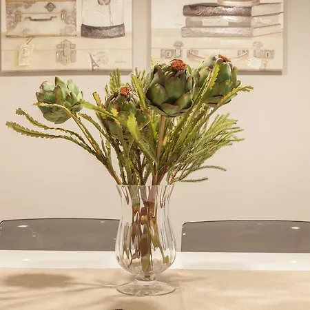 Nova Compostela Διαμέρισμα